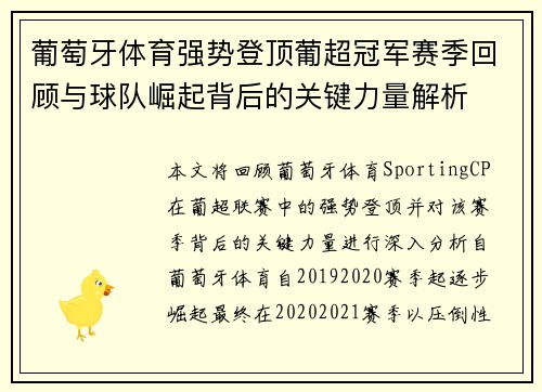 葡萄牙体育强势登顶葡超冠军赛季回顾与球队崛起背后的关键力量解析
